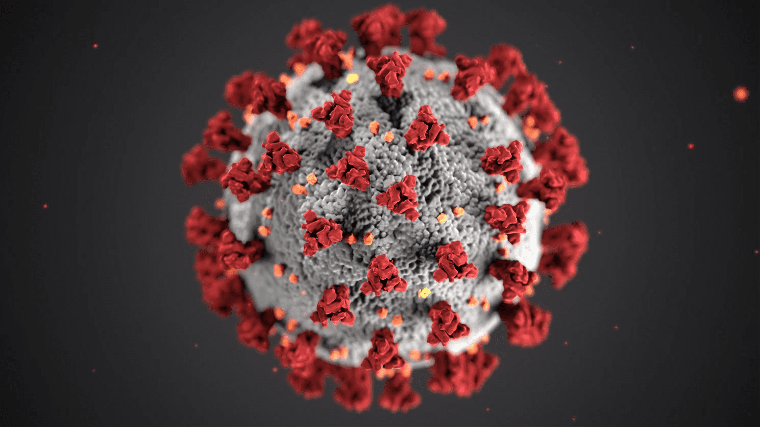 coronavirus covid-19