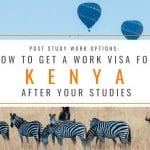 Post Study Work Options: How to Get a Work Visa in Kenya After Studies