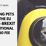Blog Taking Pets to EU Post-Brexit – Additional £180 Fee