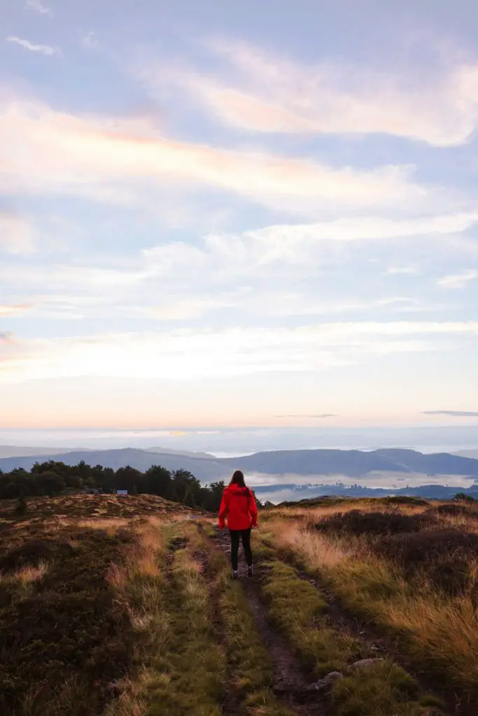 person wearing red hooded jacket standing on green field viewing mountain and body of water under white and blue sky during daytime